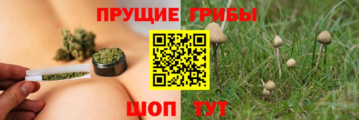 Псилоцибиновые грибы мухоморы Аша
