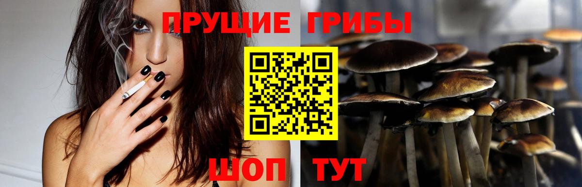 Аша  Галлюциногенные грибы MAGIC MUSHROOMS  Псилоцибиновые грибы мухоморы  Вход с VPN 